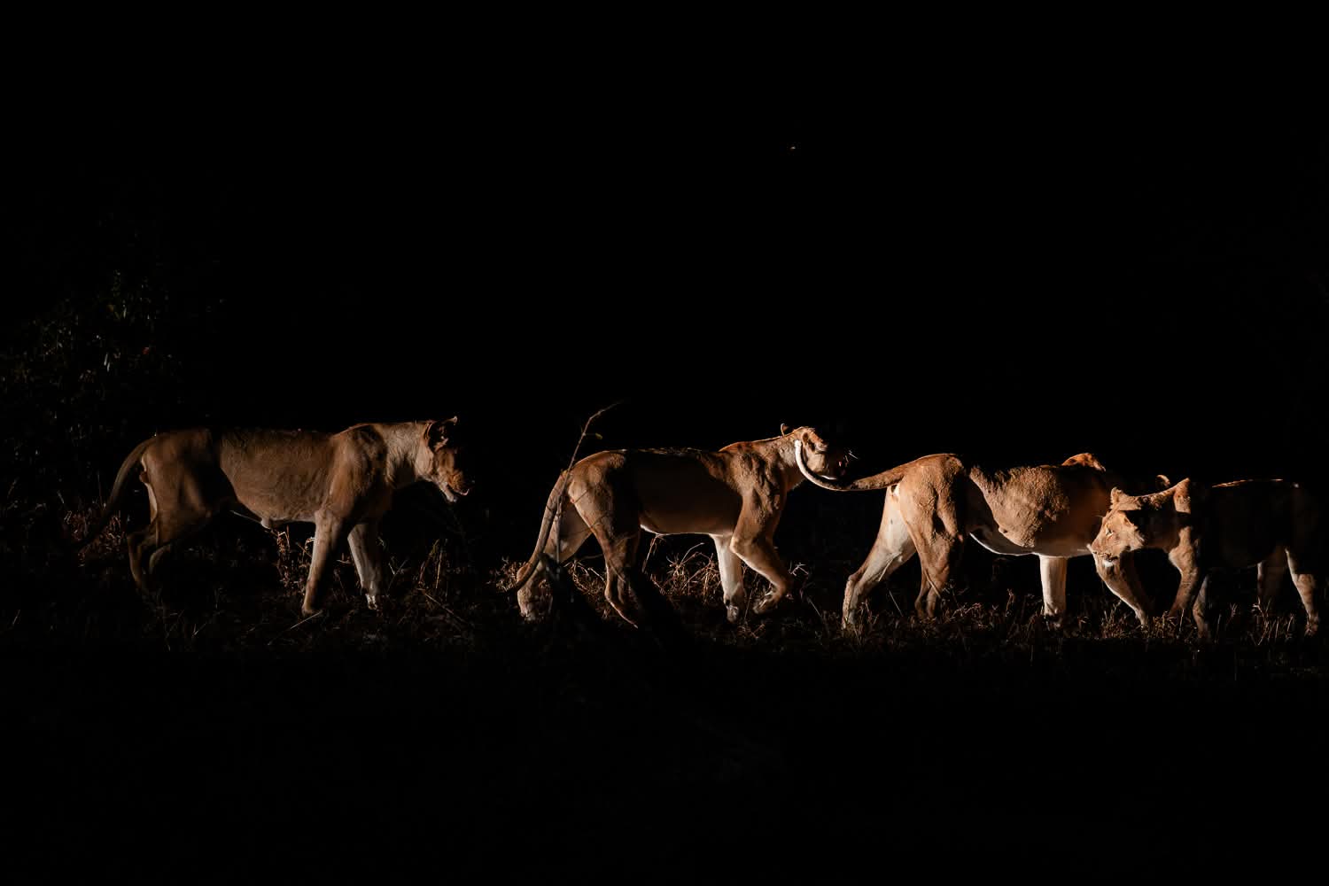 Sambia_Fotoreise_2025_001_