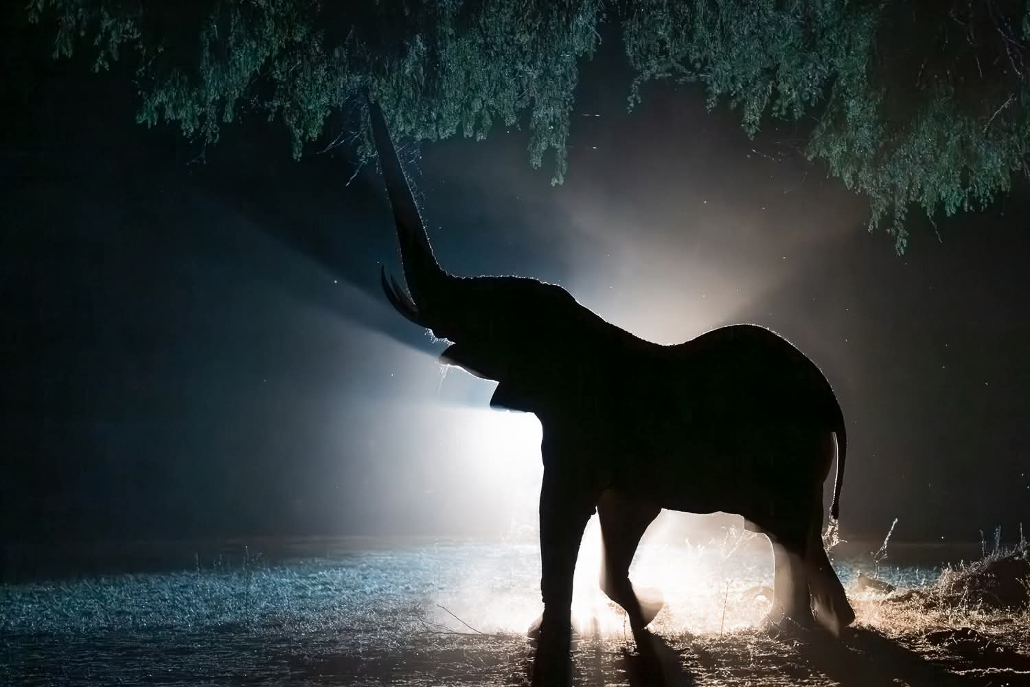 Sambia_Fotoreise_2025_003_