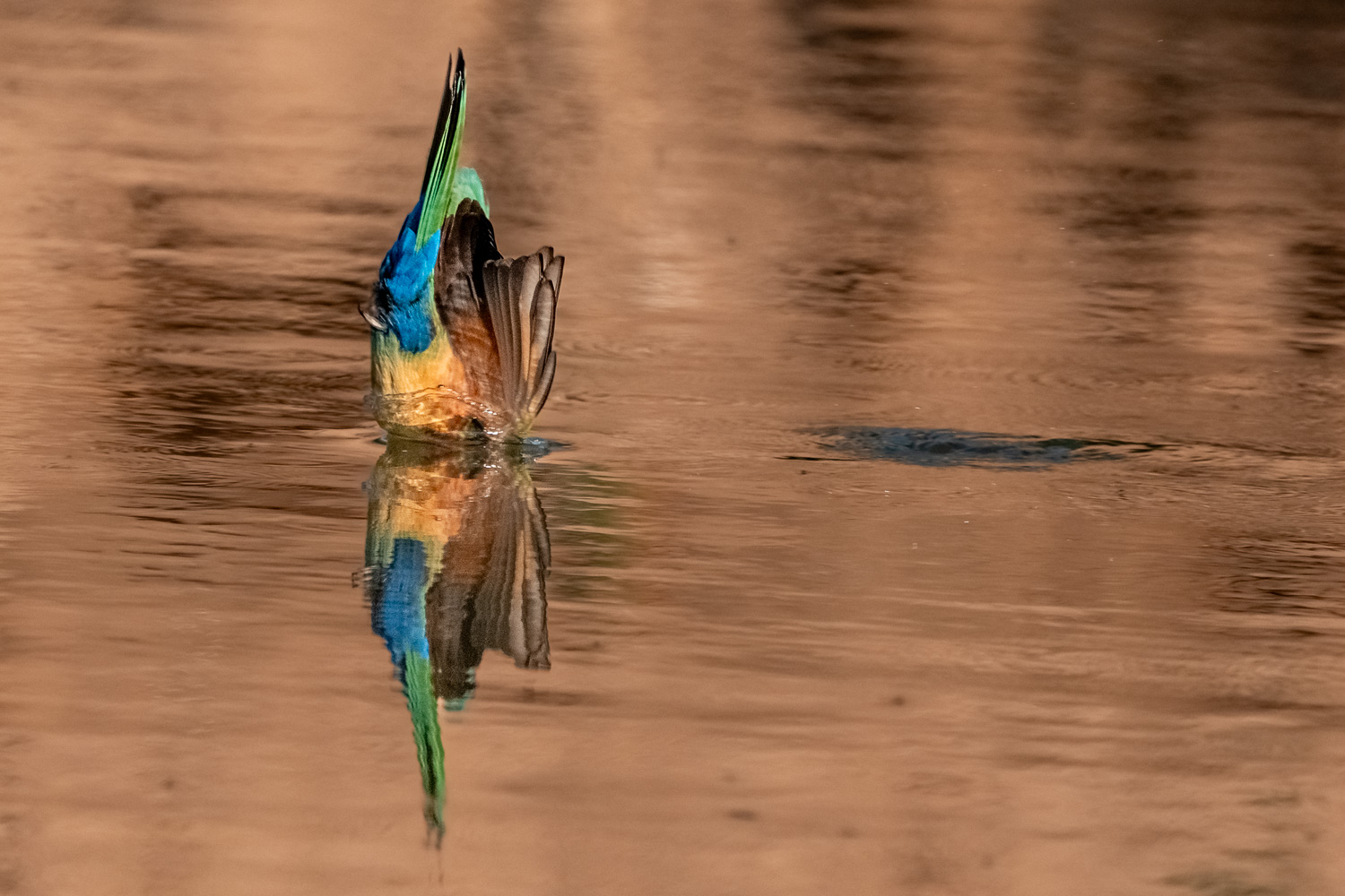 Sambia_Fotoreise_2025_004_