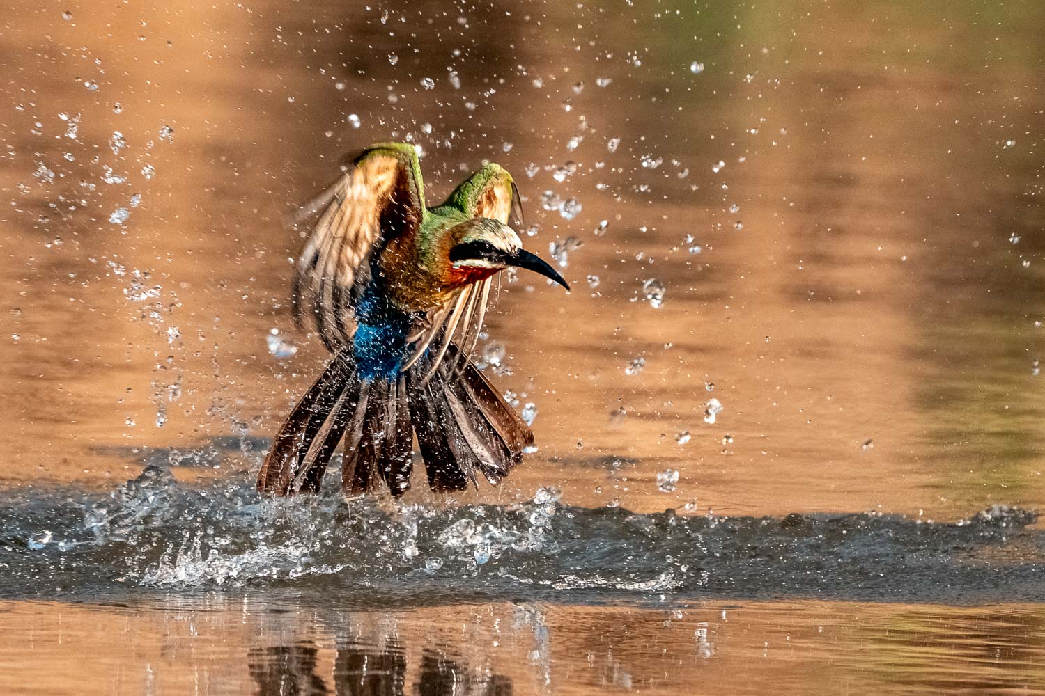 Sambia_Fotoreise_2025_006_