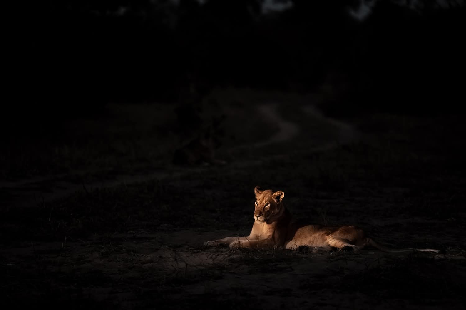 Sambia_Fotoreise_2025_009_