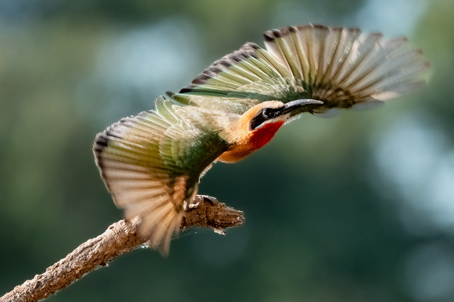 Sambia_Fotoreise_2025_015_